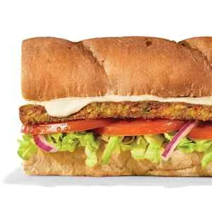 Veggie Patty product reference photo